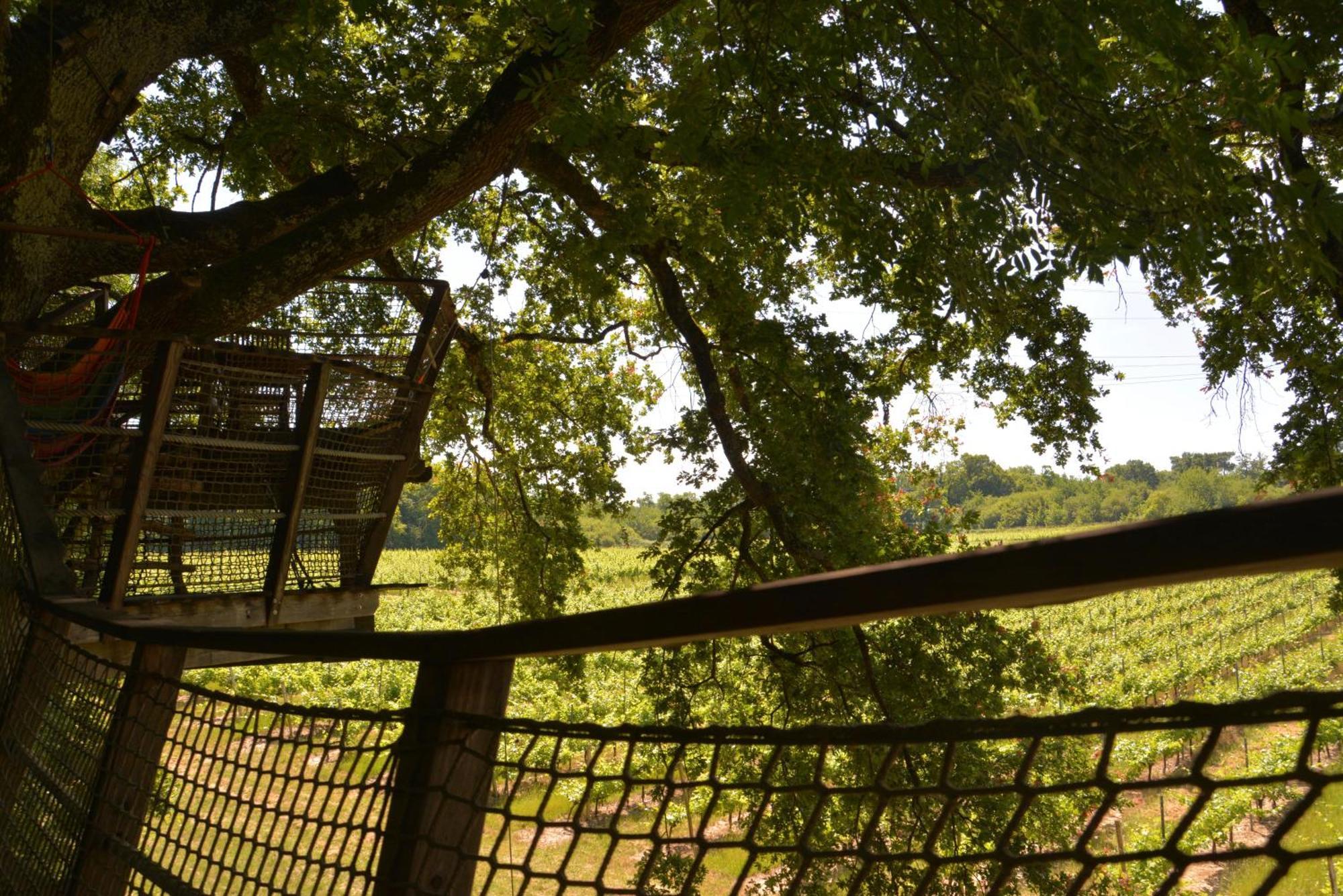 Cabanes De La Romaningue Pompignac Eksteriør bilde